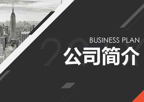 上海領感科技有限公司公司簡介